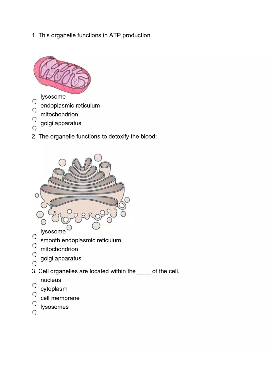 Anatomy and Physiology Test I - Page 1