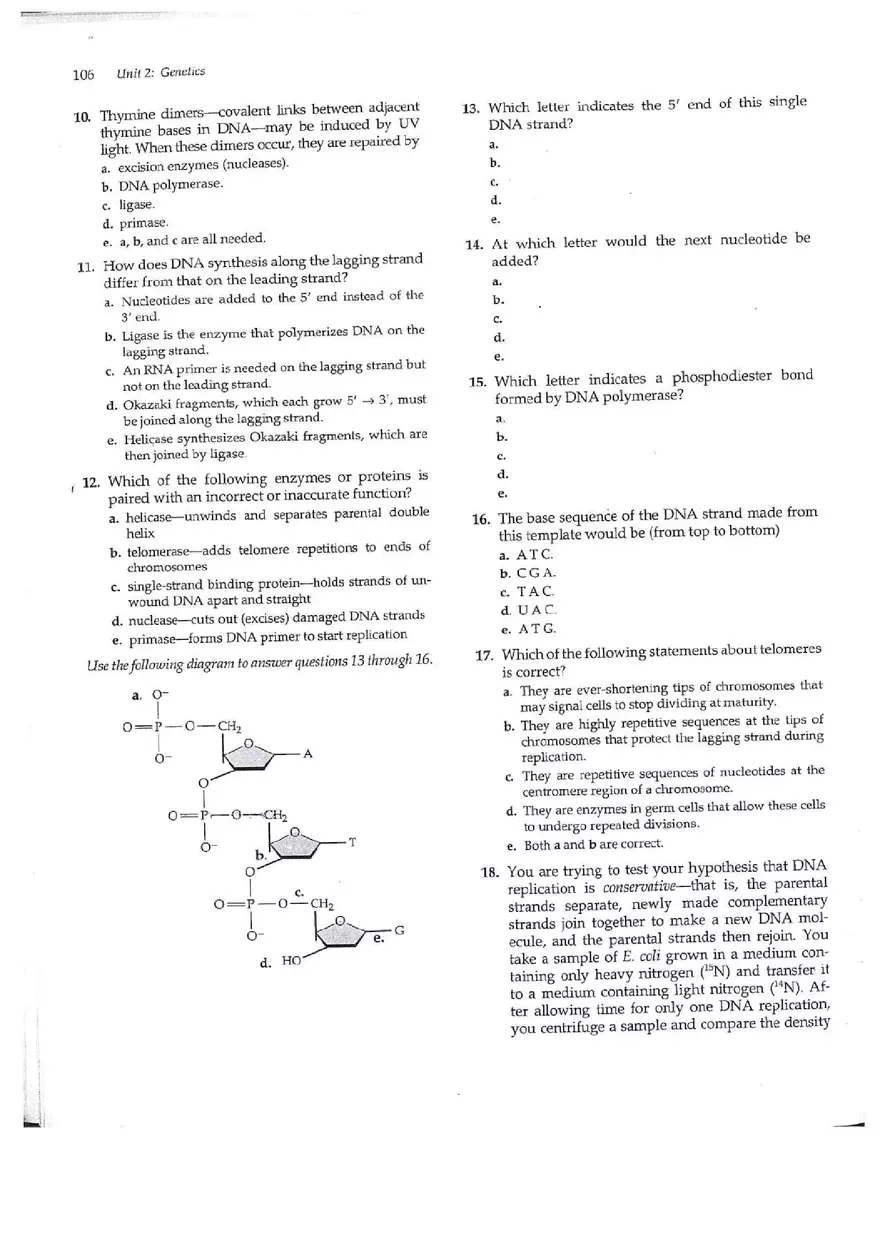 Chapter 13 The Molecular Basis of Inceritance - Page 8