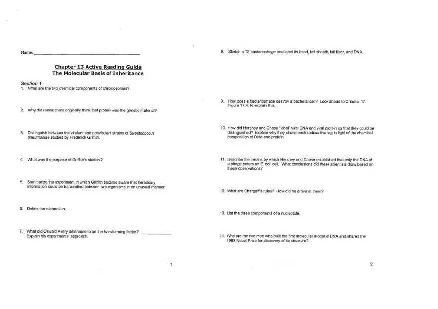 Chapter 13 The Molecular Basis of Inceritance - Page 4