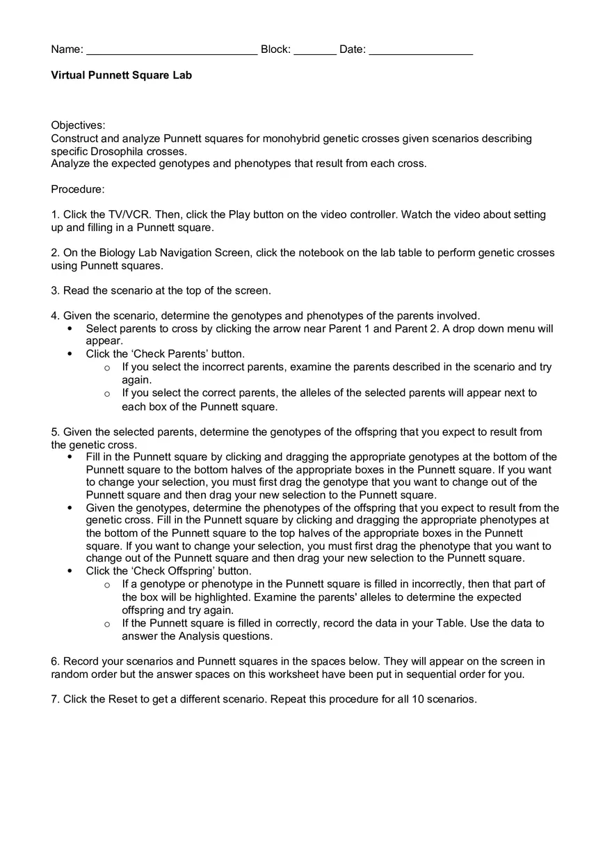 Virtual Punnett Square Lab - Page 1