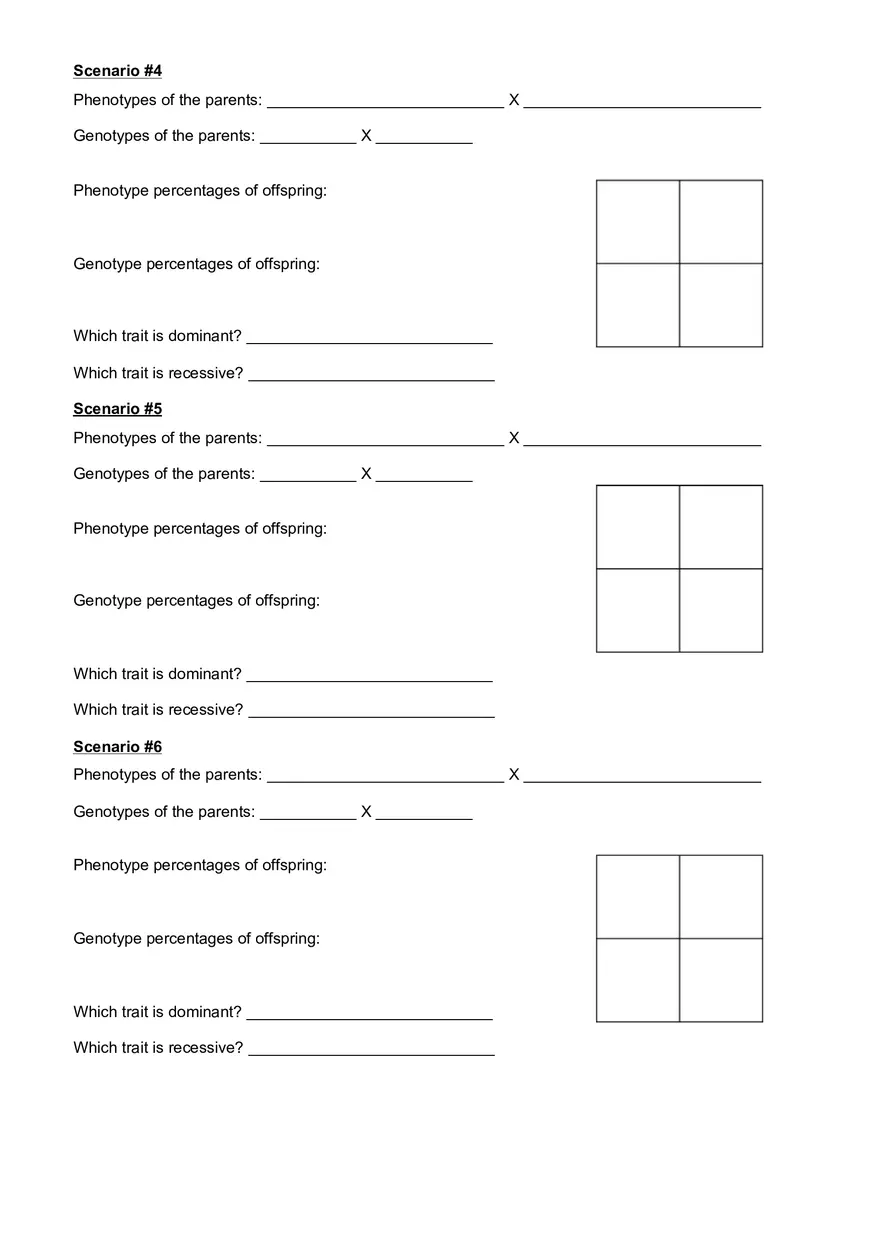 Virtual Punnett Square Lab - Page 3