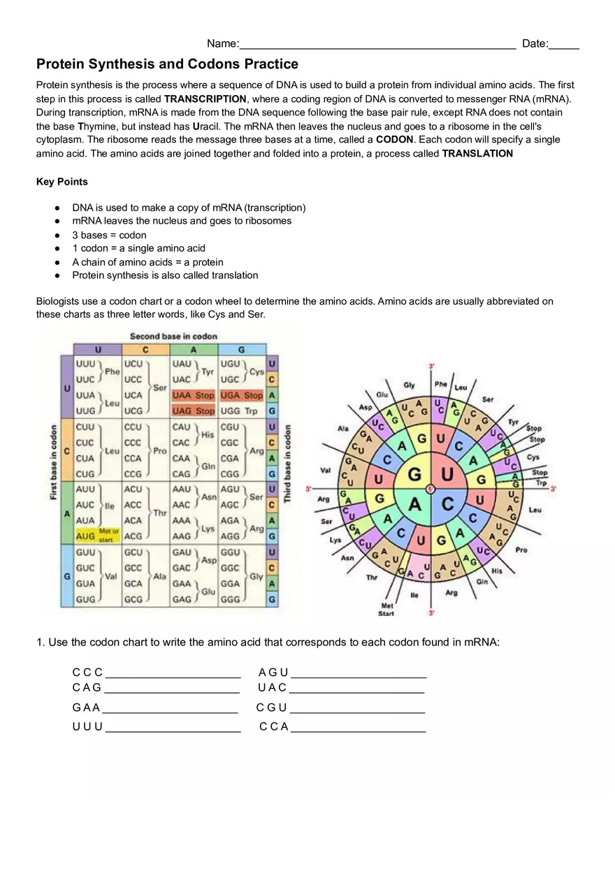 Protein Synthesis and Codons Practice - Page 1