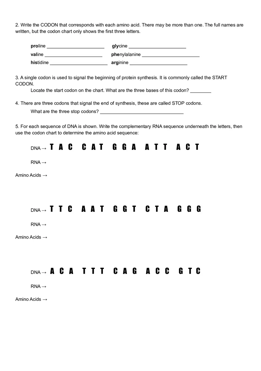 Protein Synthesis and Codons Practice - Page 2