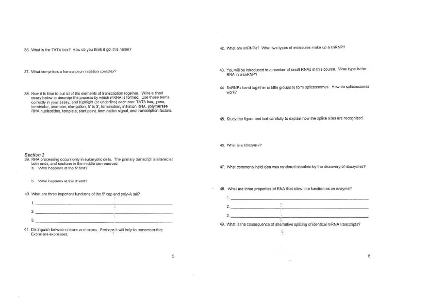 Chapter 14 Gene Expression From Gene to Protein - Page 7