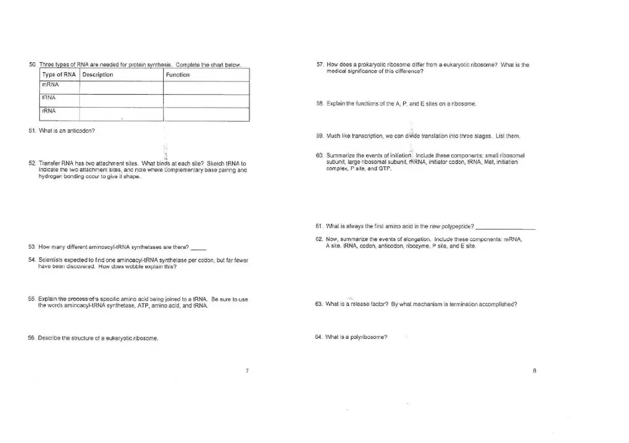 Chapter 14 Gene Expression From Gene to Protein - Page 8