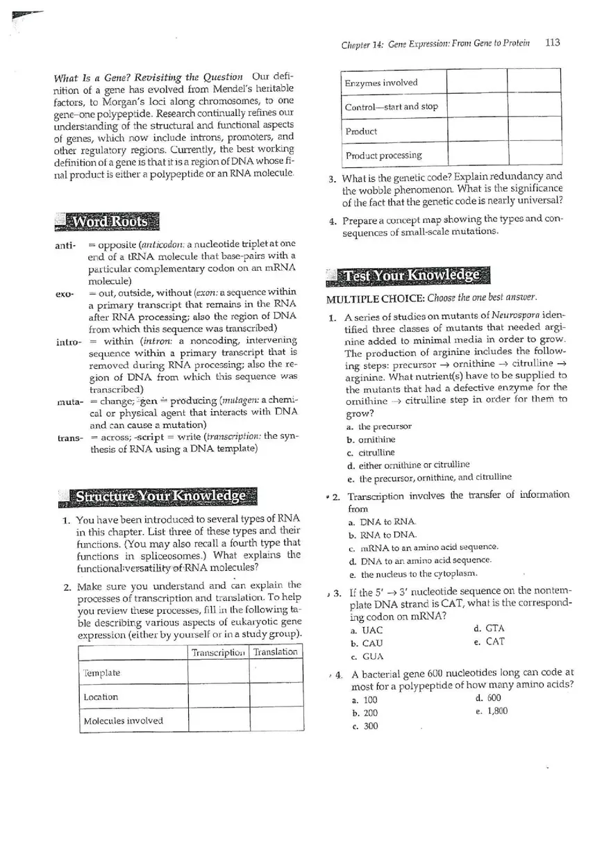 Chapter 14 Gene Expression From Gene to Protein - Page 10