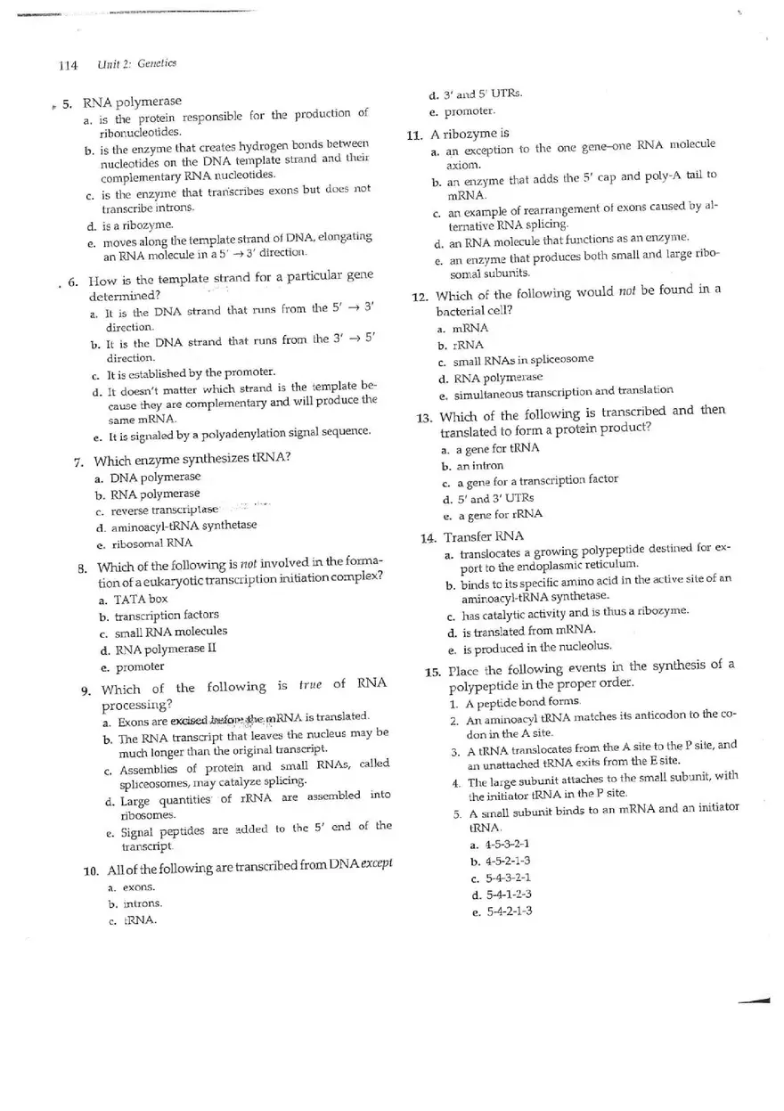 Chapter 14 Gene Expression From Gene to Protein - Page 11