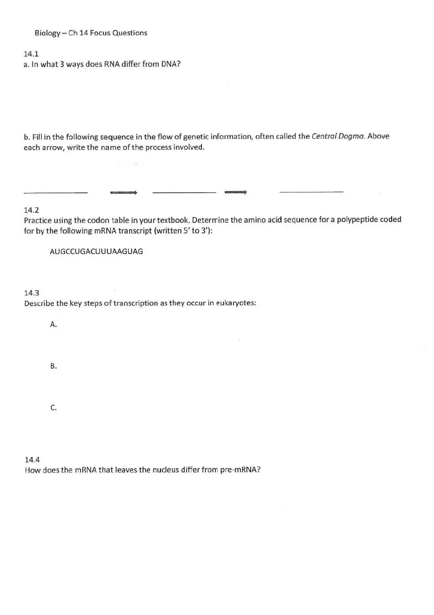 Chapter 14 Gene Expression From Gene to Protein - Page 1