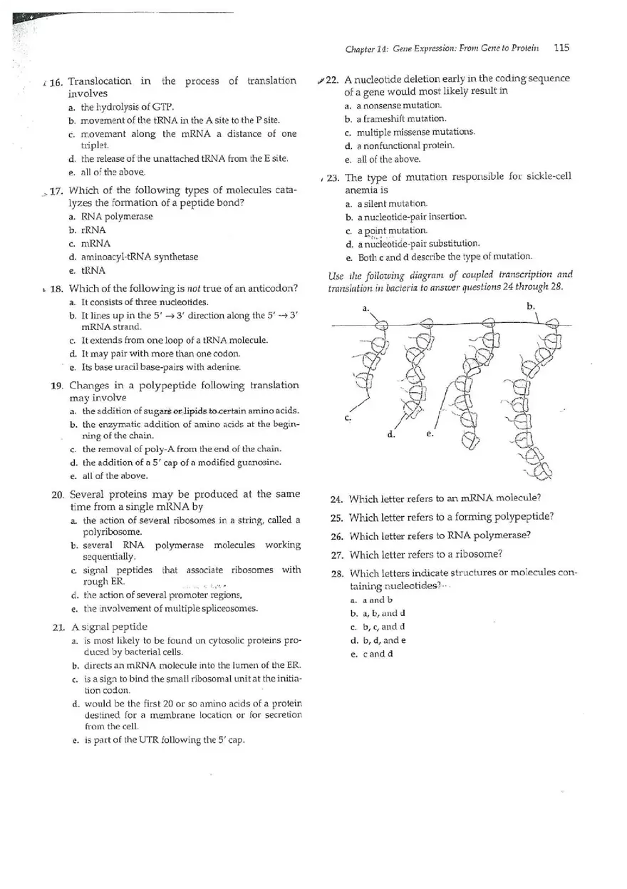 Chapter 14 Gene Expression From Gene to Protein - Page 3