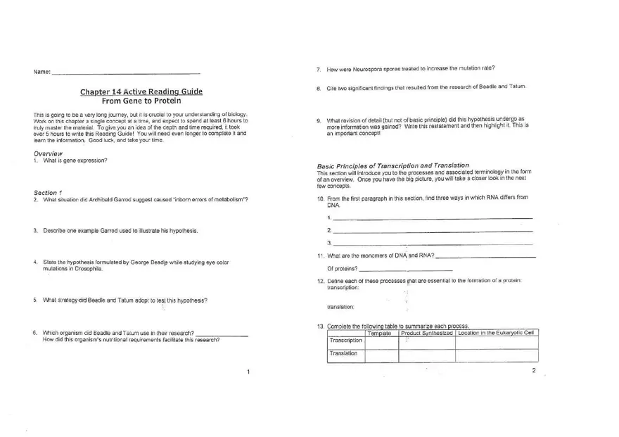 Chapter 14 Gene Expression From Gene to Protein - Page 5