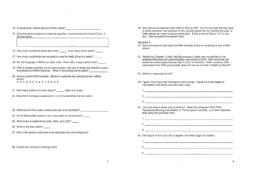 Chapter 14 Gene Expression From Gene to Protein - Page 6