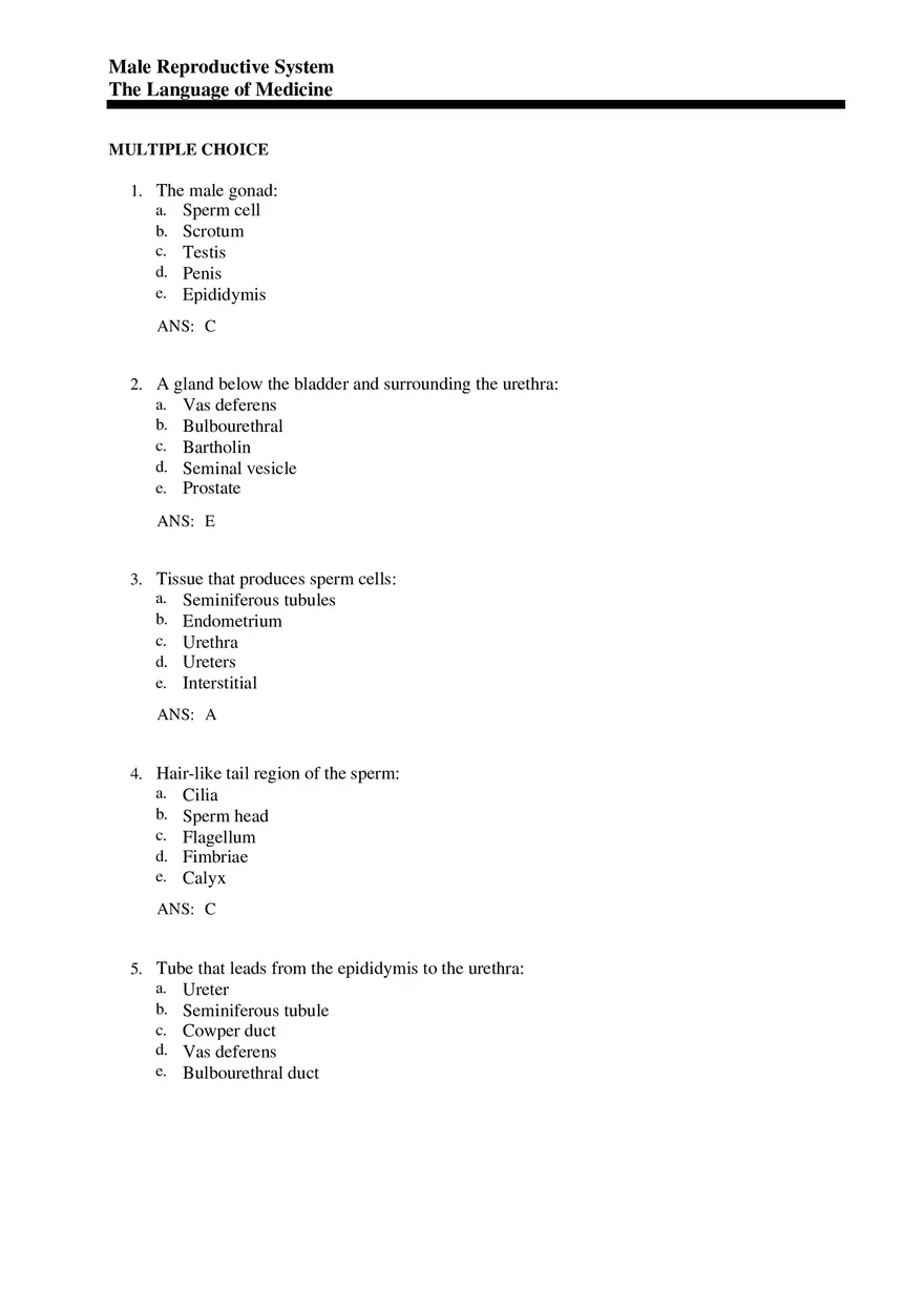 Male Reproductive System - The Language of Medicine Pt1 - Page 1