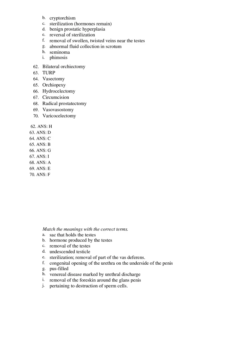 Male Reproductive System - The Language of Medicine Pt1 - Page 4