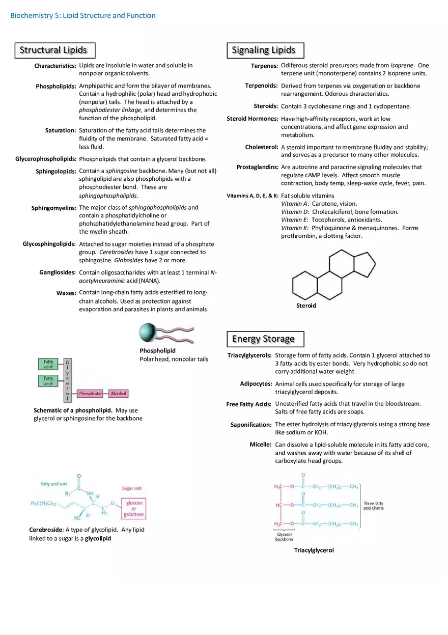 Notes for Biochemistry - Page 7