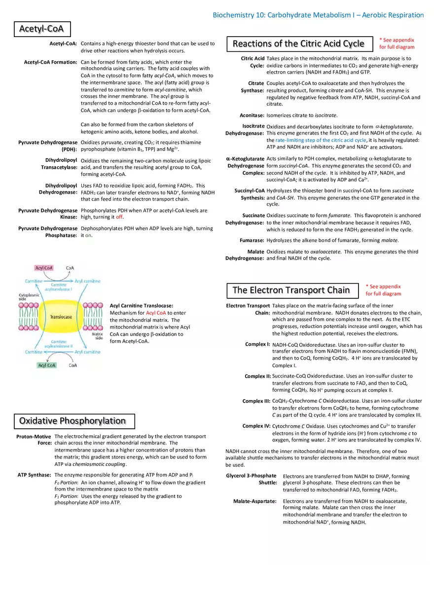 Notes for Biochemistry - Page 12
