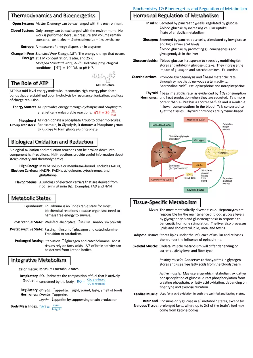 Notes for Biochemistry - Page 4
