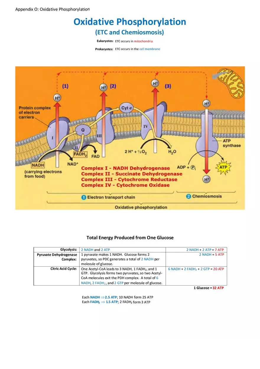 Appendix for Science - Page 7
