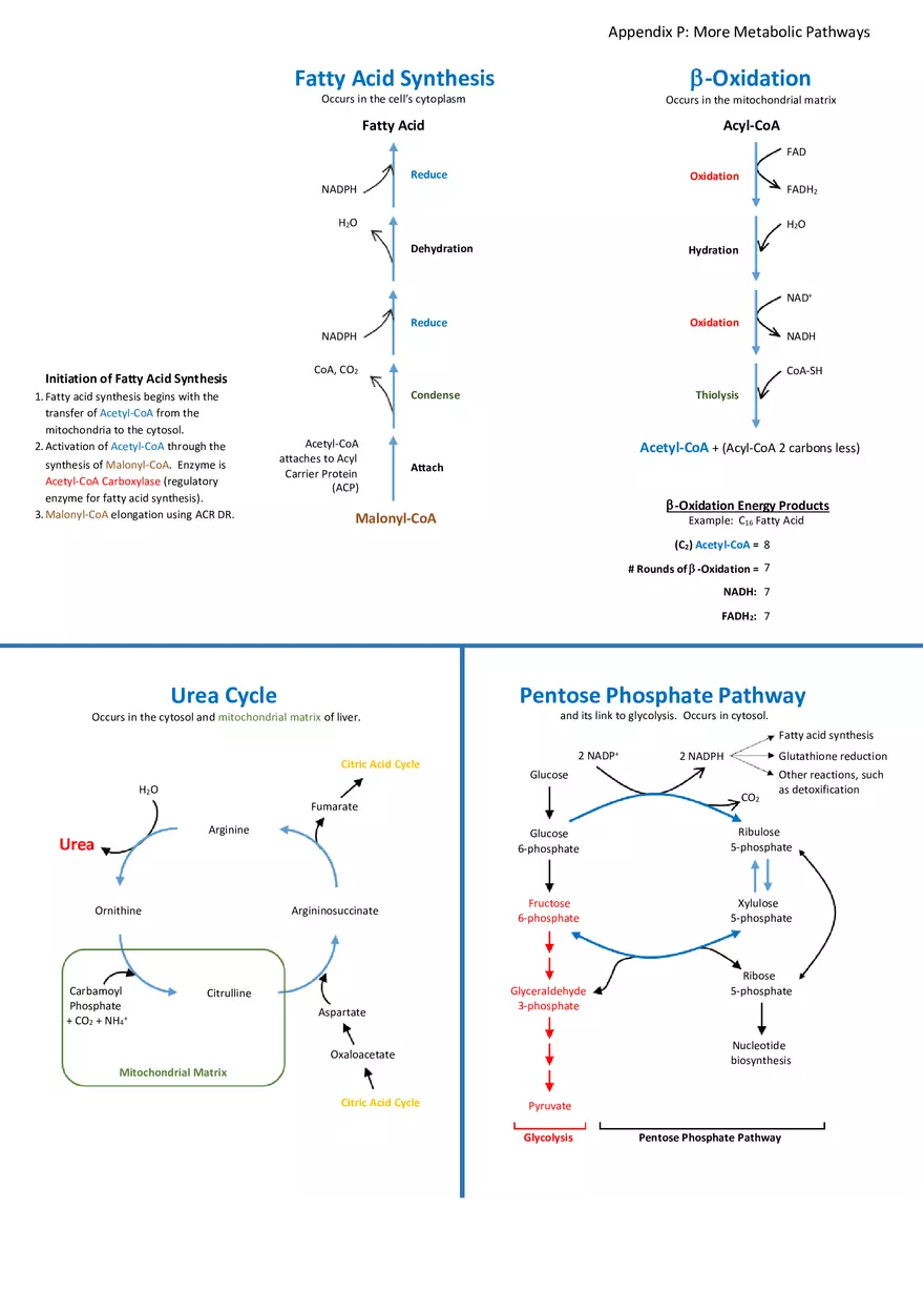 Appendix for Science - Page 8