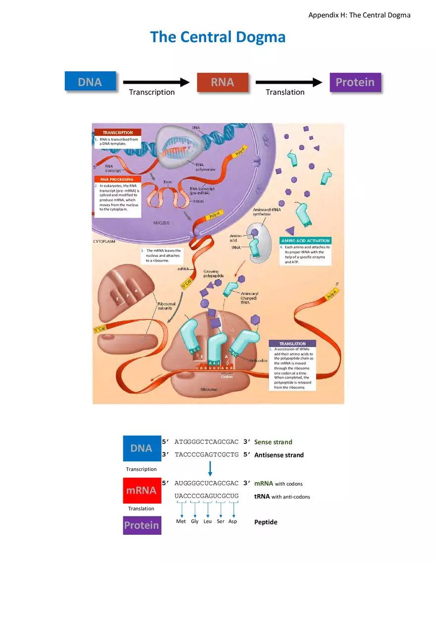 Appendix for Science - Page 15