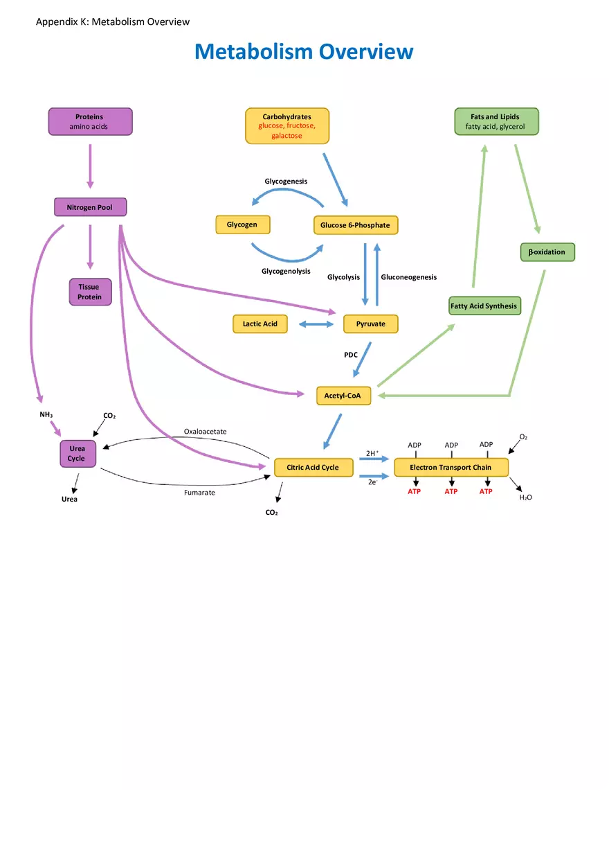 Appendix for Science - Page 3