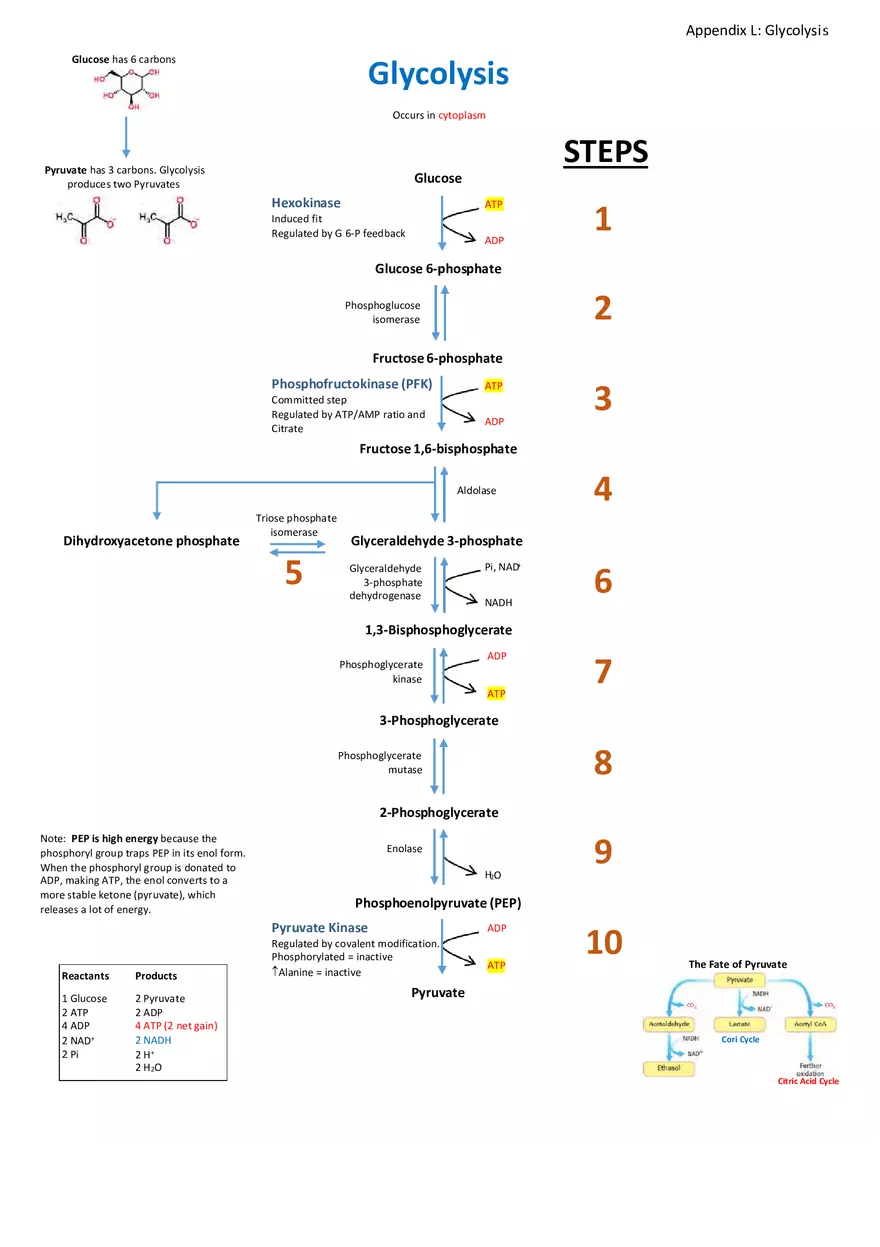 Appendix for Science - Page 4