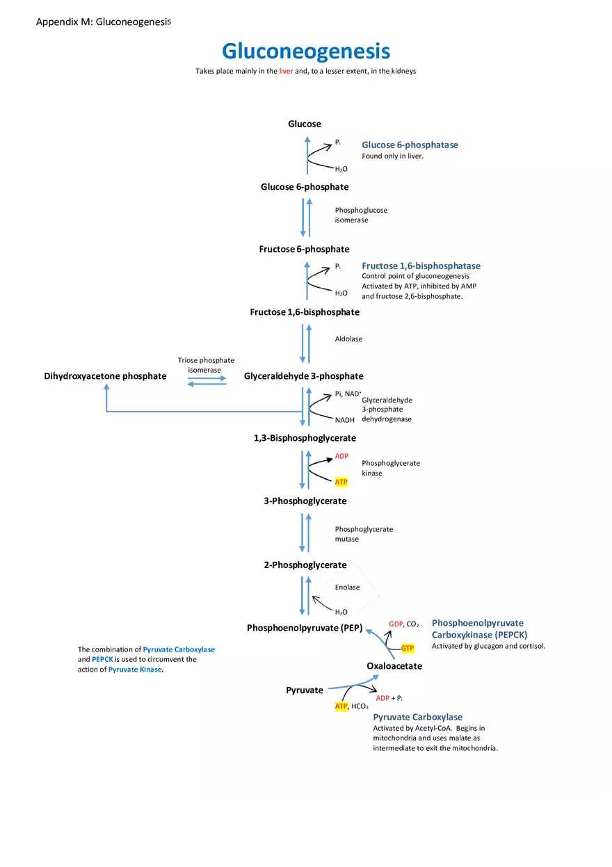 Appendix for Science - Page 5