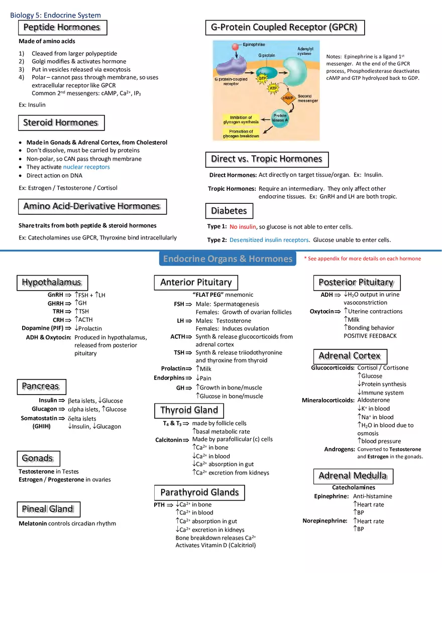 Notes for Biology - Page 7