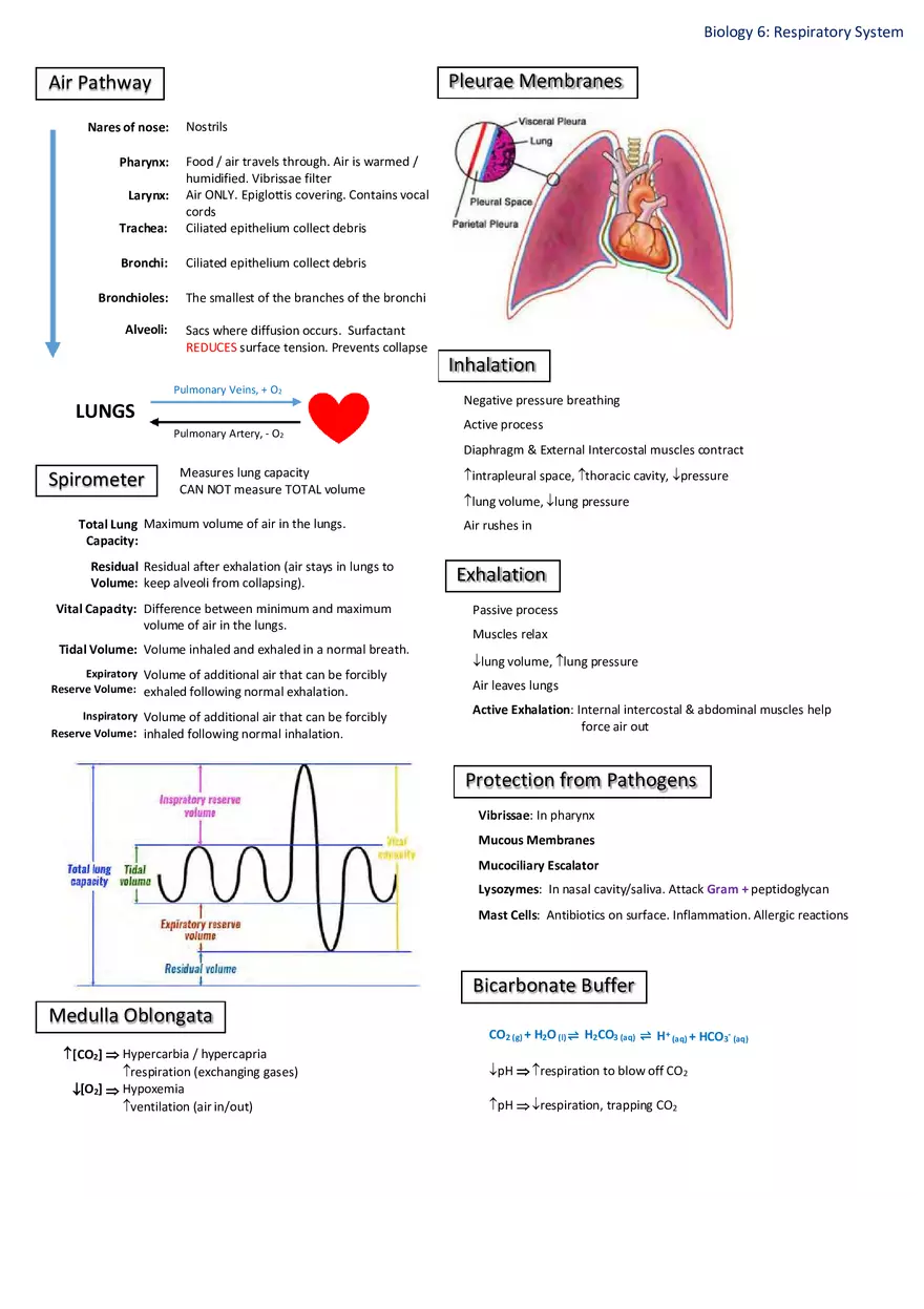 Notes for Biology - Page 8