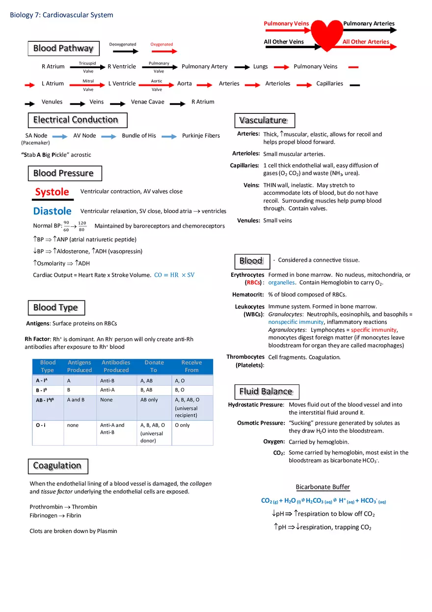 Notes for Biology - Page 9
