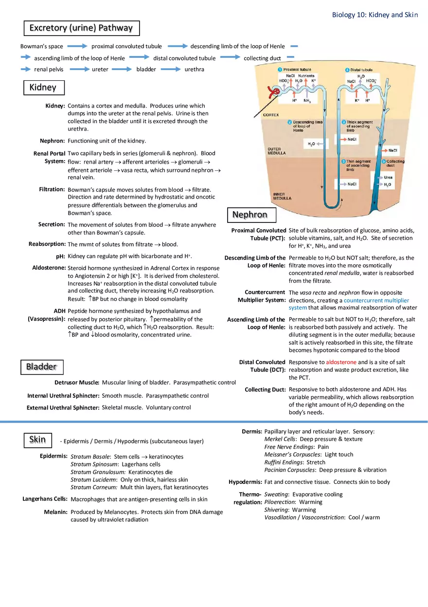 Notes for Biology - Page 12
