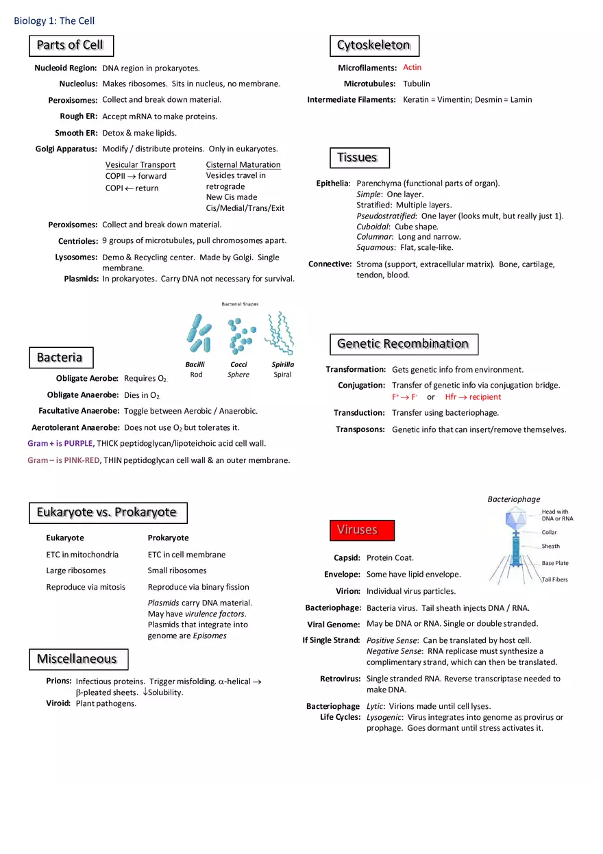 Notes for Biology - Page 1