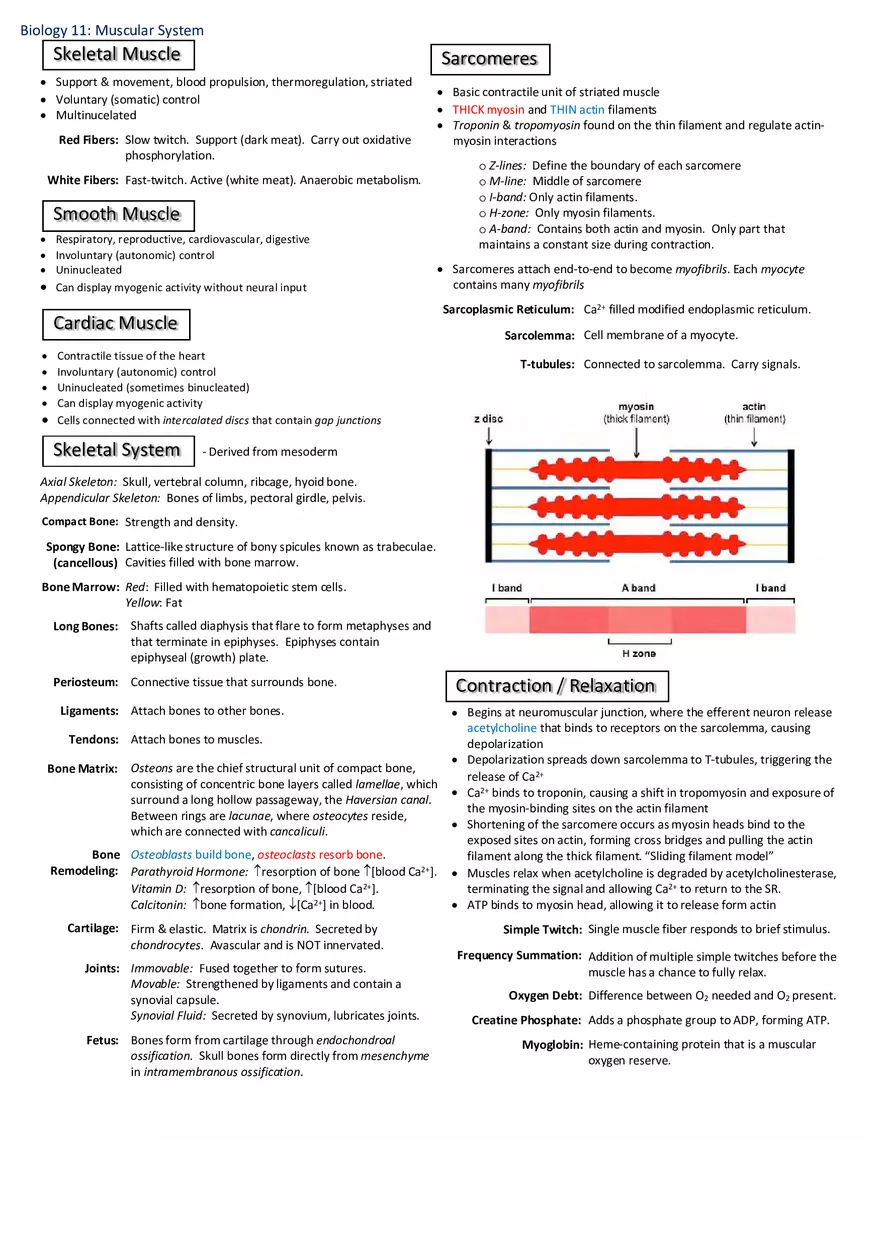 Notes for Biology - Page 3