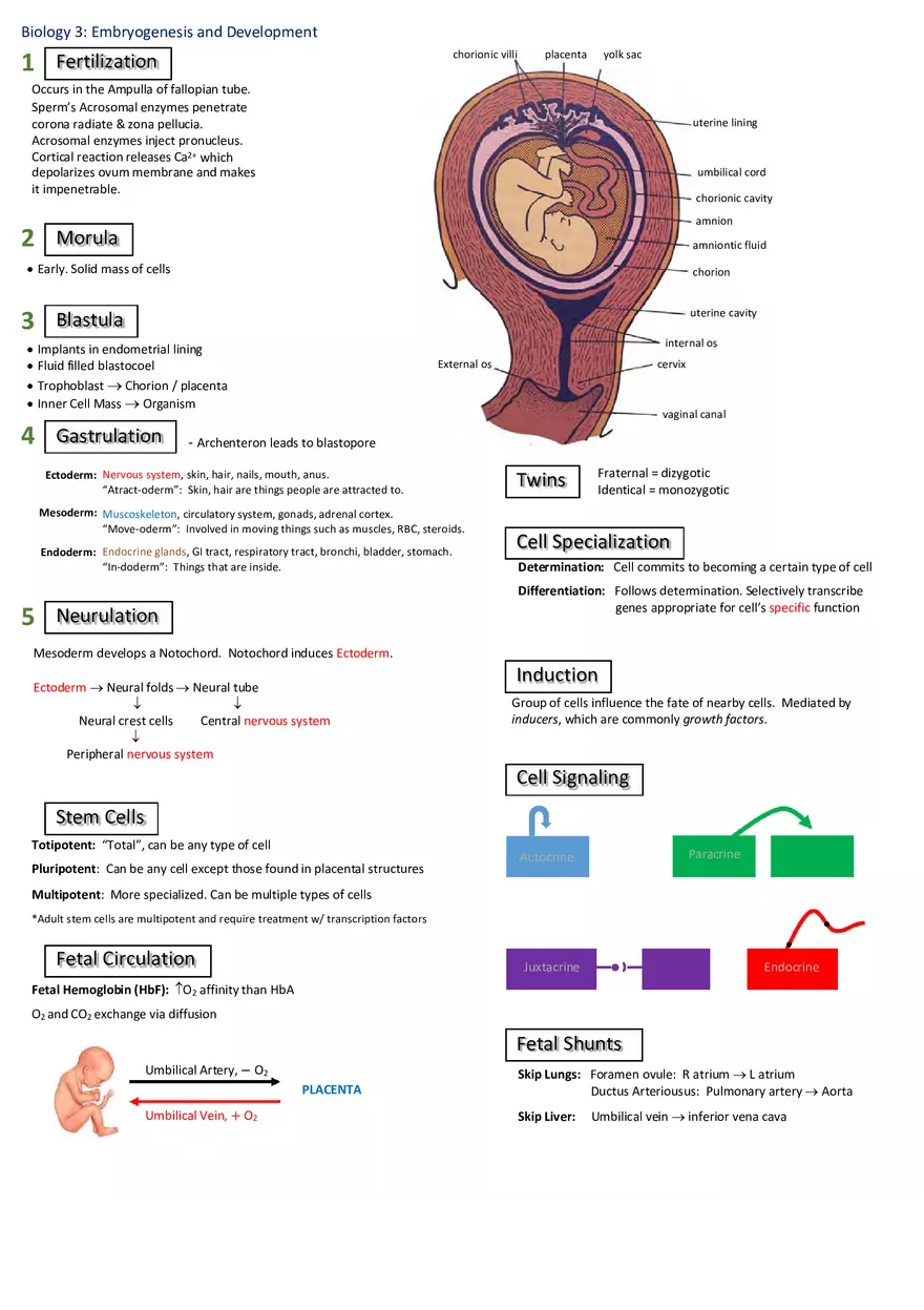 Notes for Biology - Page 5