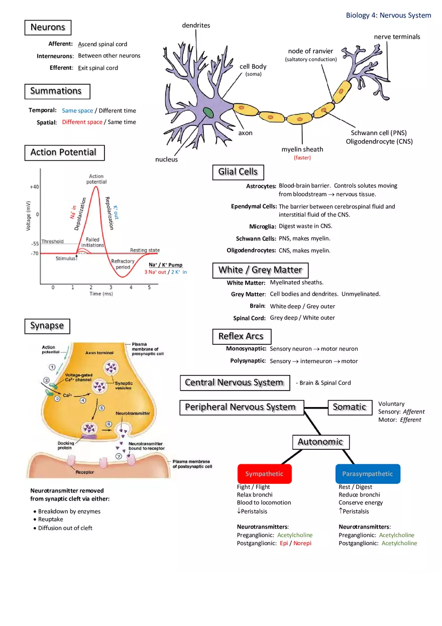 Notes for Biology - Page 6