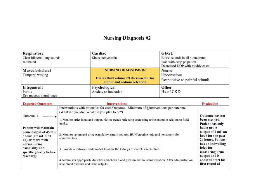 Advance Kidney Injury Care Plan - Page 3