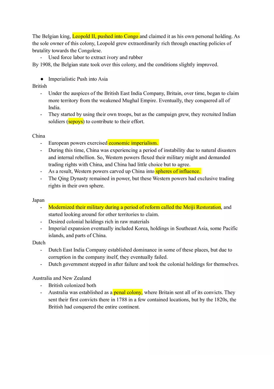 Rationales for Imperialism World History Review - Page 10