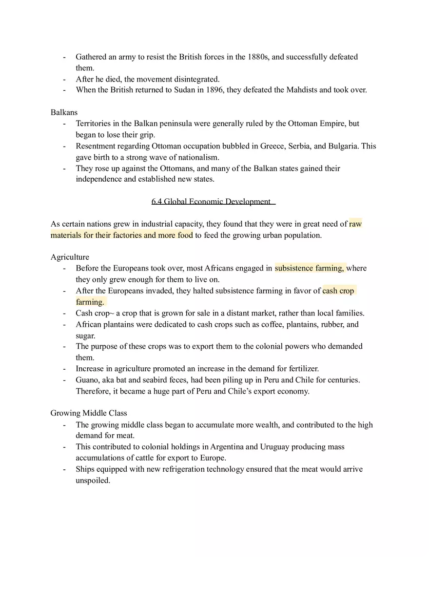 Rationales for Imperialism World History Review - Page 14