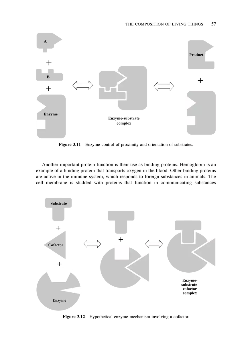 The Substances of Life - Page 16