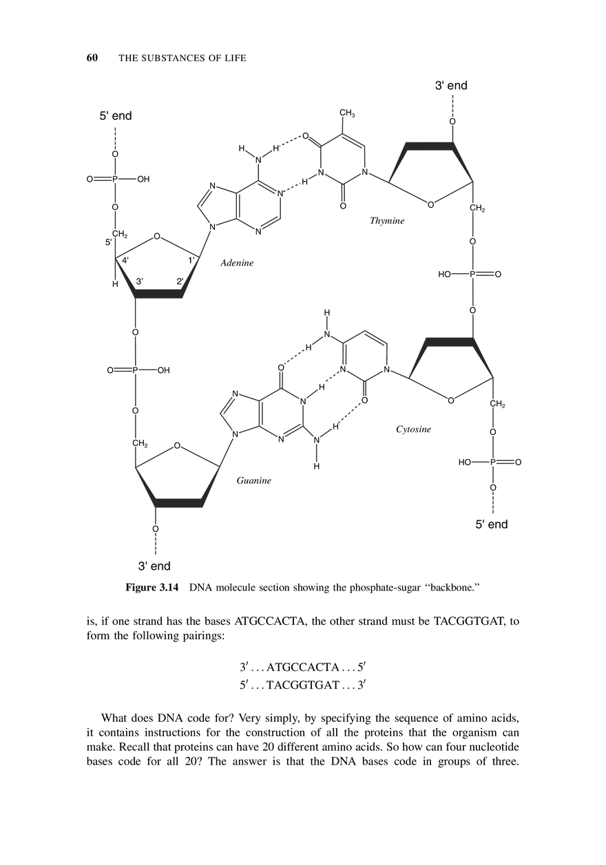 The Substances of Life - Page 19