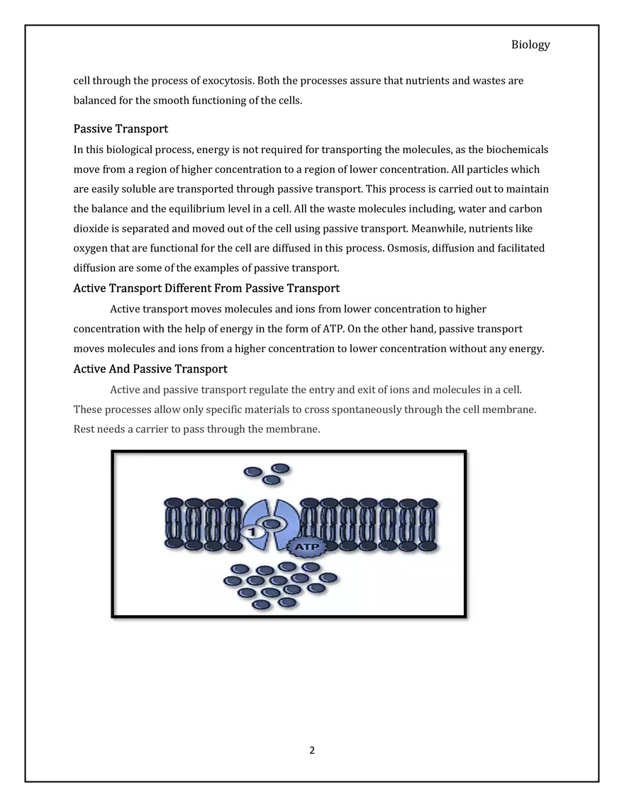 Active and Passive Transport of Materials in Plasma Membrane - Page 2