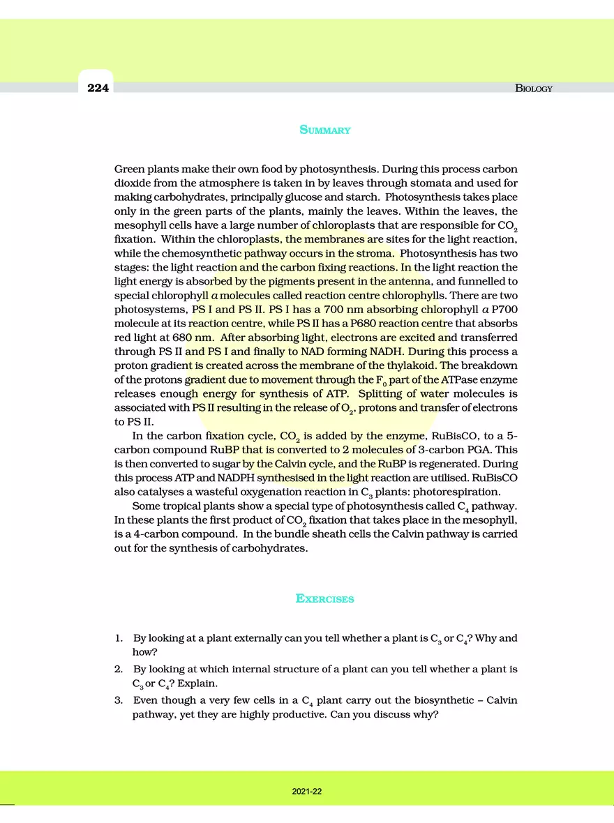 Photosynthesis in Higher Plants - Page 11
