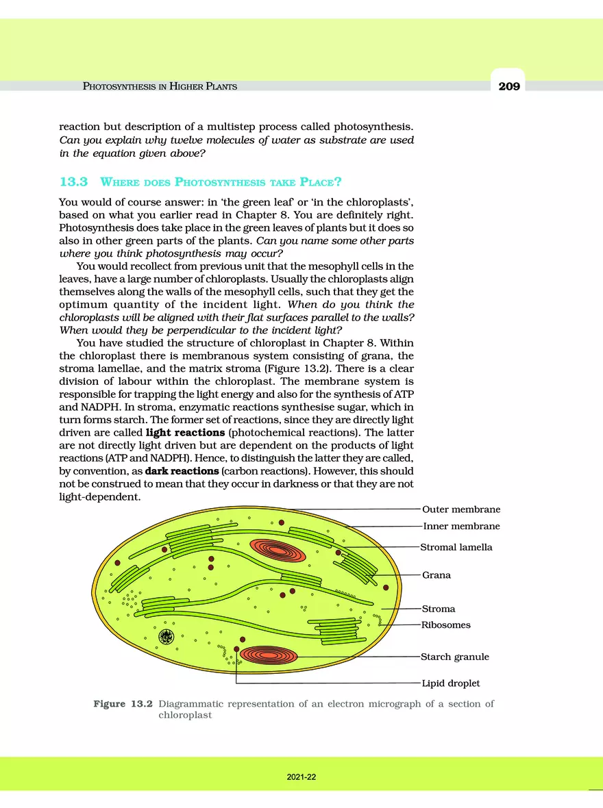 Photosynthesis in Higher Plants - Page 14
