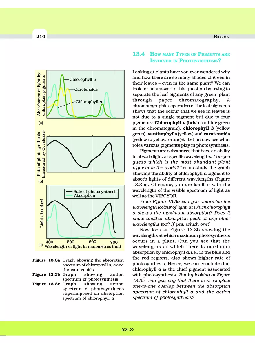 Photosynthesis in Higher Plants - Page 15