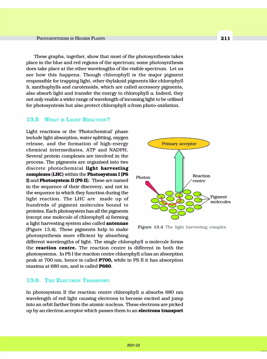 Photosynthesis in Higher Plants - Page 16