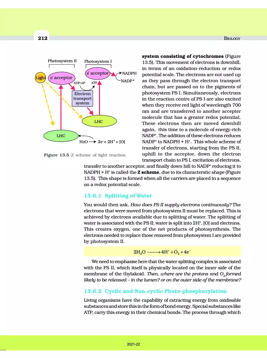Photosynthesis in Higher Plants - Page 17