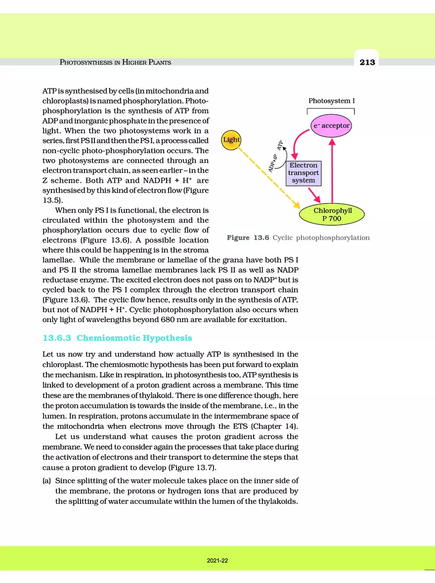 Photosynthesis in Higher Plants - Page 18