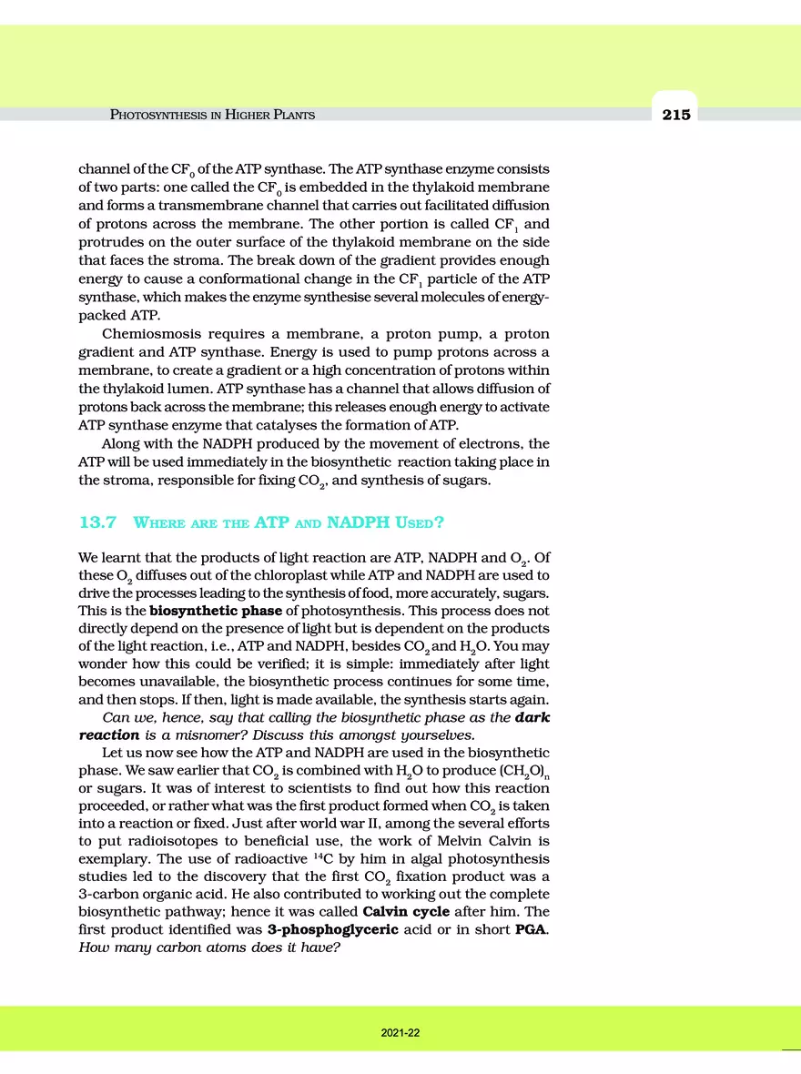 Photosynthesis in Higher Plants - Page 20