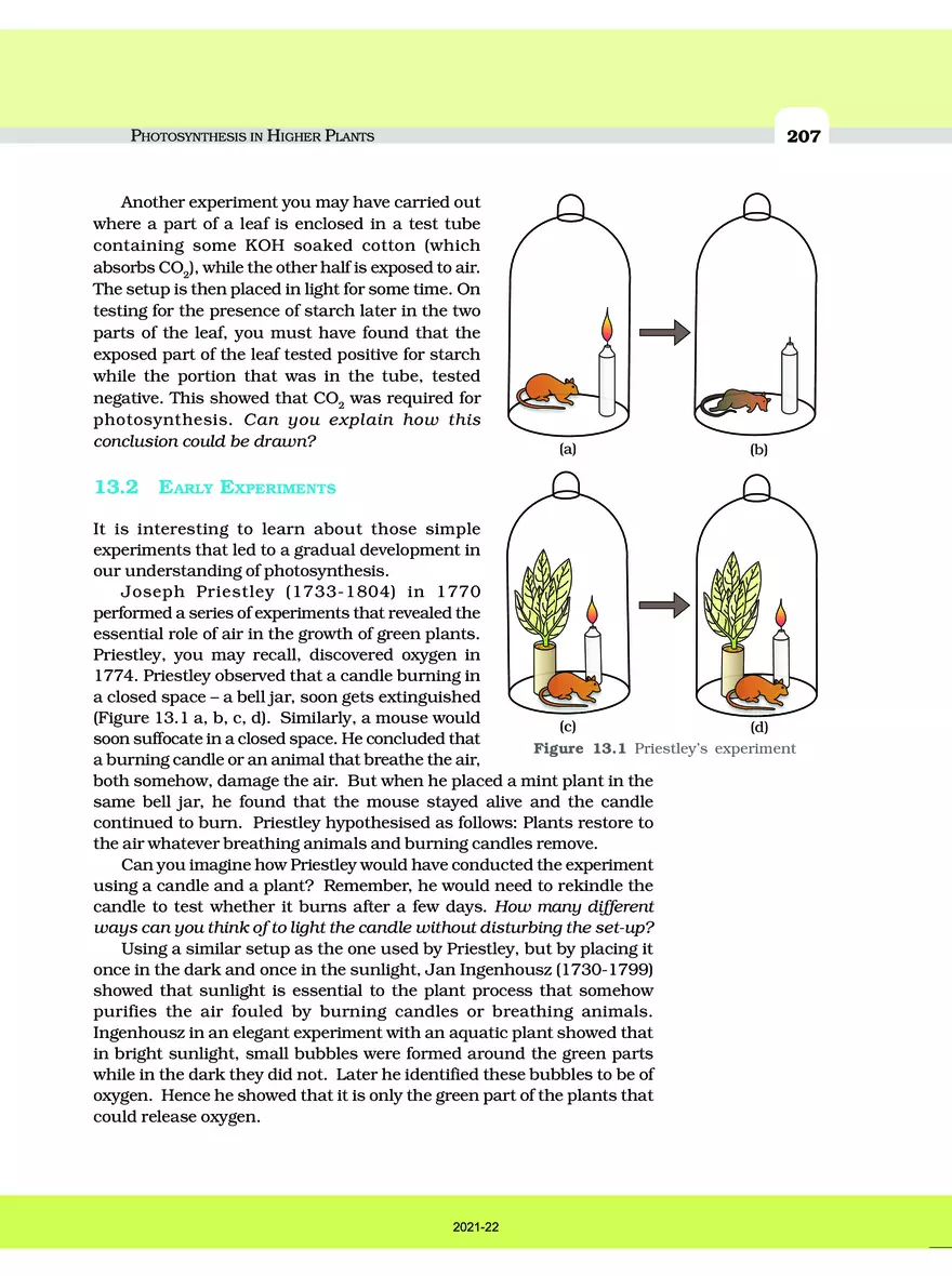 Photosynthesis in Higher Plants - Page 2