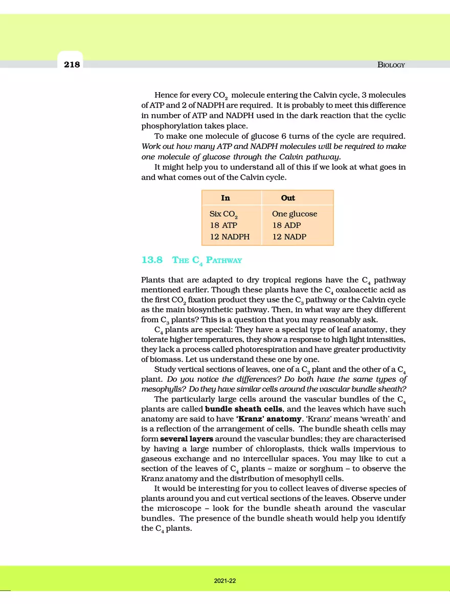 Photosynthesis in Higher Plants - Page 5