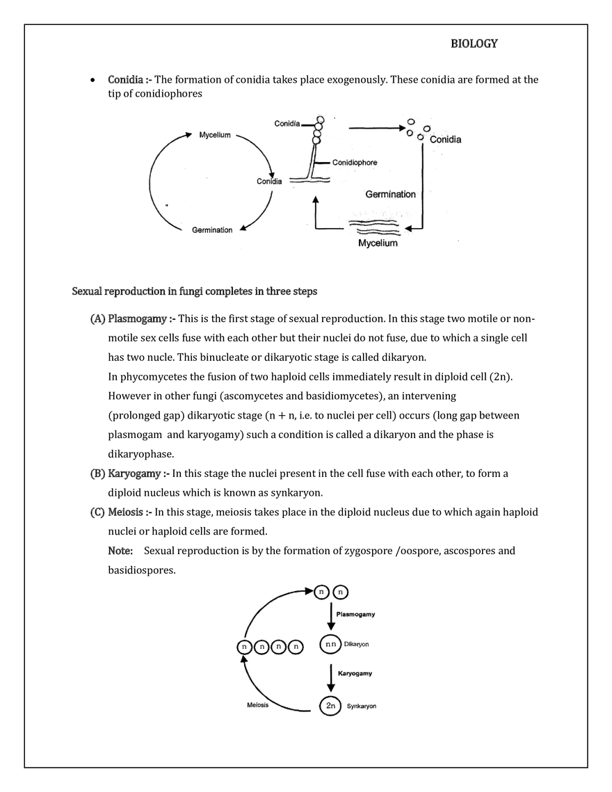 Kingdom Fungi - Page 5